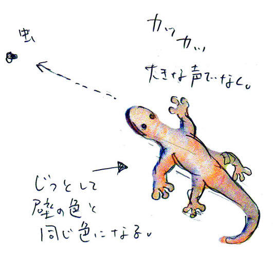 Large 637273b439