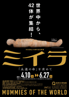 Thumb mini b34efe871e